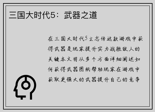 三国大时代5：武器之道
